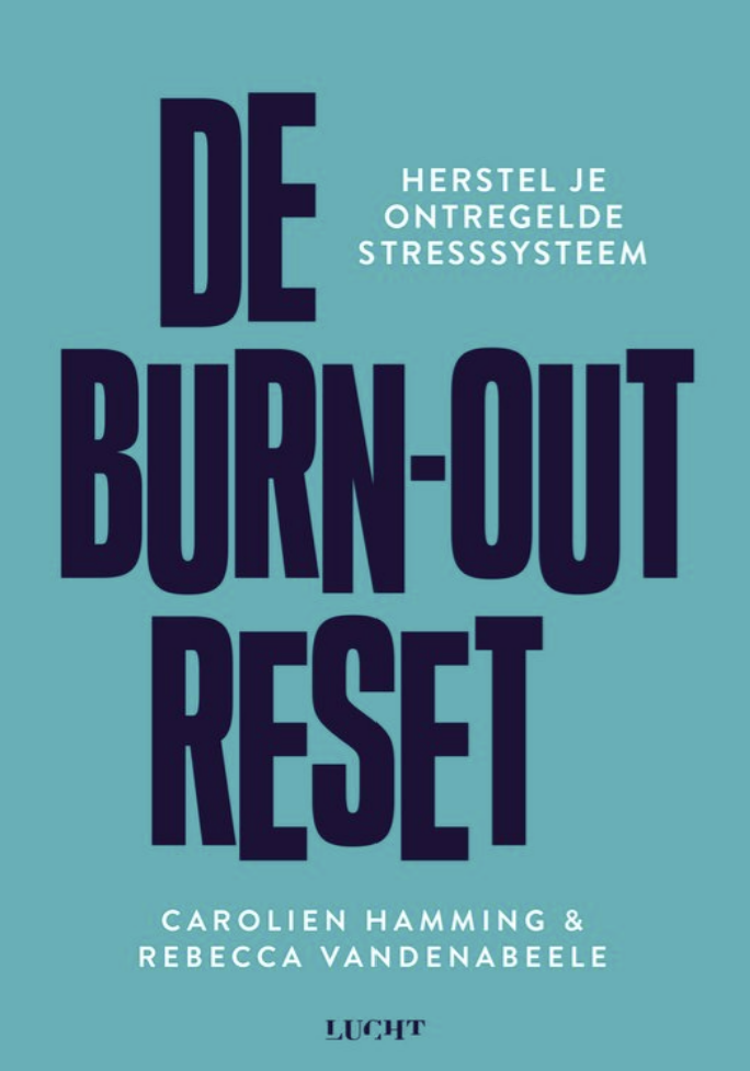 de burn-out reset boek